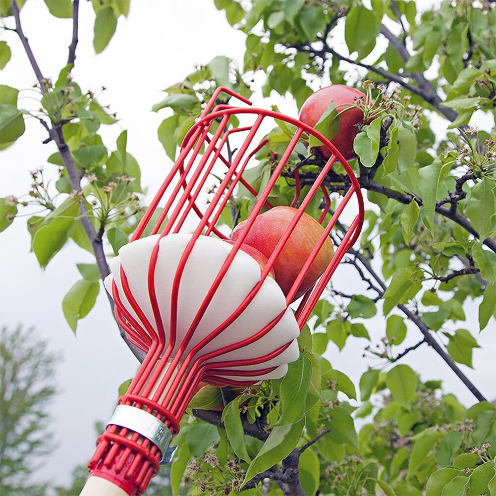 정원 도구 깊은 바구니 과일 피커 헤드 편리한 과일 따기 포수 사과 복숭아 금속 도구 온실 오렌지 따기